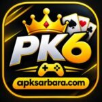 PK6 Game Image